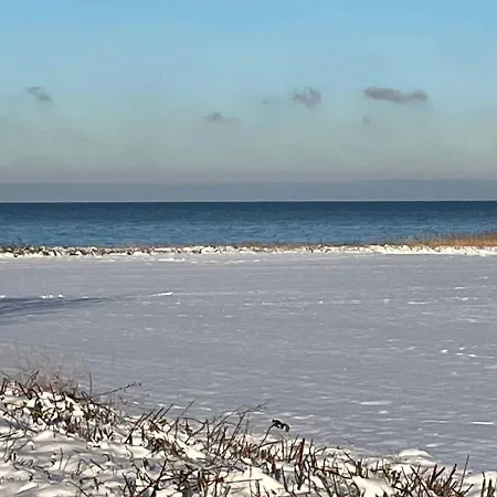 Modern 100 M From The Baltic Sea