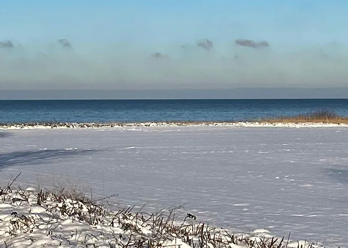 Modern 100 M From The Baltic Sea